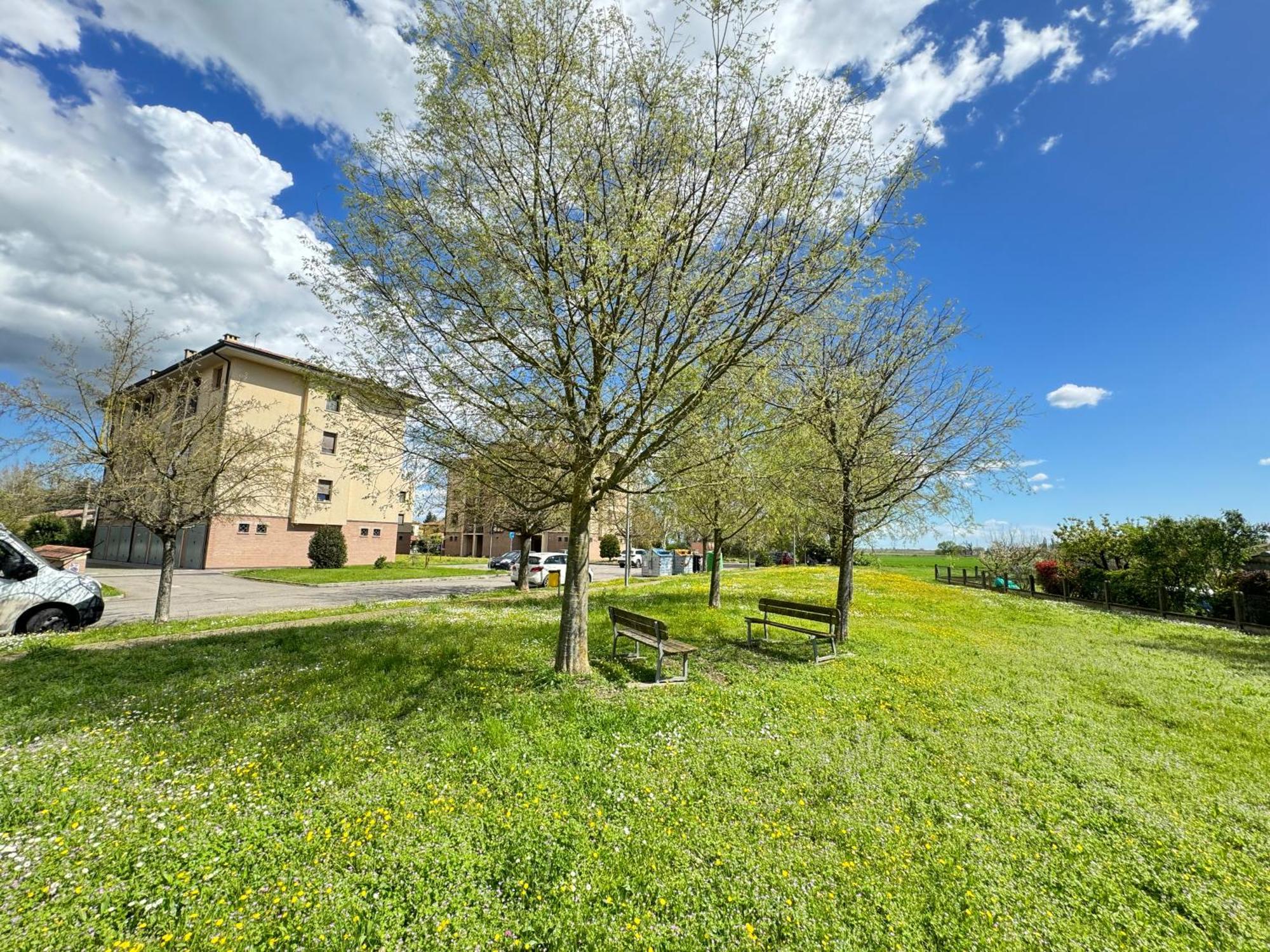 Apartamento Nel Cuore Della Natura - Parcheggio Gratuito - Wi-Fi Mezzolara Exterior foto